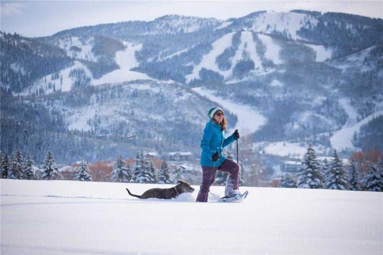 2101 Timberline Lodge, Trappeur'S Crossing Стимбот Спрингс Экстерьер фото